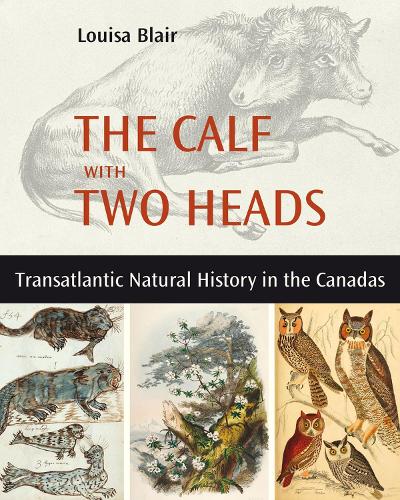 Бумажная книга «The Calf with Two Heads: Transatlantic Natural History in the Canadas», автор Луиза Блэр - фото №1