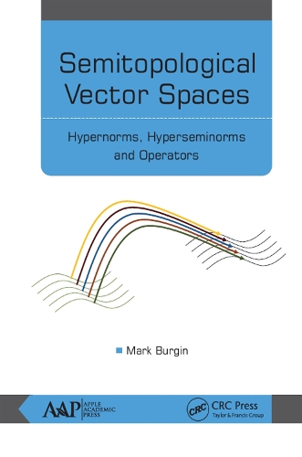 [object Object] «Semitopological Vector Spaces: Hypernorms, Hyperseminorms, and Operators», автор Марк Бергін - фото №1