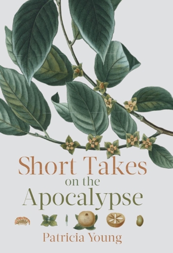 Бумажная книга «Short Takes on the Apocalypse», автор Патриция Янг - фото №1