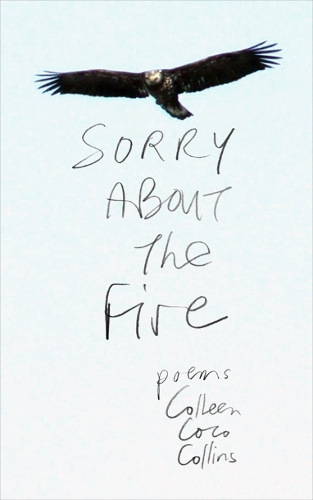 Бумажная книга «Sorry About the Fire», автор Коллин Коко Коллинз - фото №1