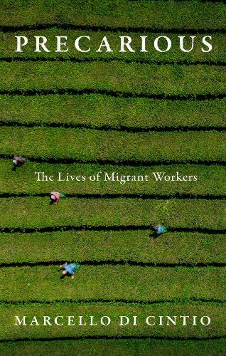 Бумажная книга «Precarious: The Secret Lives of Migrant Workers», автор Марчелло Ди Чинтио - фото №1
