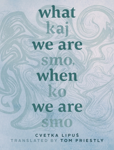 Паперова книга «What We Are, When We Are: Kaj smo, ko smo», автор Цвєтка Ліпуш - фото №1