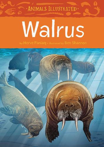 Паперова книга «Animals Illustrated: Walrus», автор Ерве Паніак - фото №1
