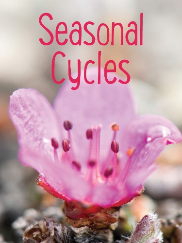 Бумажная книга «Seasonal Cycles: English Edition», автор Надя Майк - фото №1