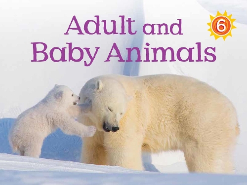 Бумажная книга «Adult and Baby Animals: English Edition», автор Келли Уорд-Уиллс - фото №1