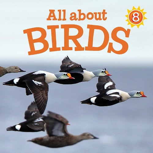 Бумажная книга «All about Birds: English Edition», автор Джесси Хейл - фото №1