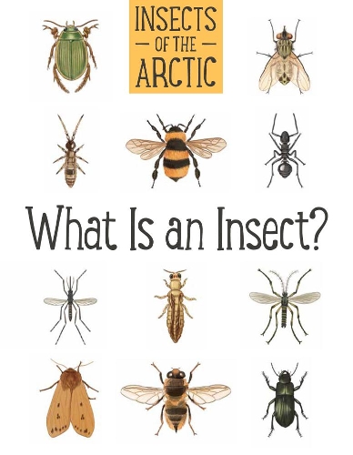 Бумажная книга «Insects of the Arctic: What Is an Insect?: English Edition», автор Кэролин Мэллори - фото №1