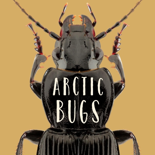 Бумажная книга «Arctic Bugs: English Edition», автор Arvaaq Press - фото №1