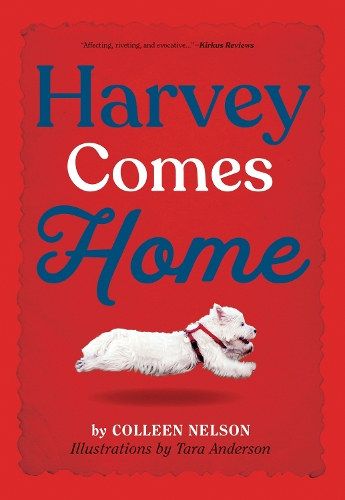Бумажная книга «Harvey Comes Home», автор Коллин Нельсон - фото №1