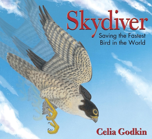 Паперова книга «Skydiver: Saving the Fastest Bird in the World», автор Селія Годкін - фото №1