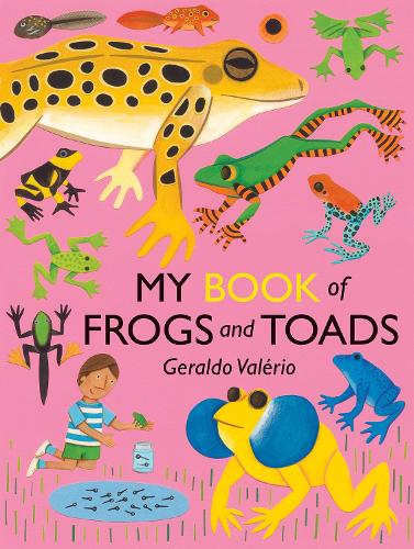 Паперова книга «My Book of Frogs and Toads», автор Джеральдо Валеріо - фото №1