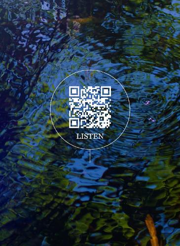 Бумажная книга «Wetland Project: Explorations in Sound, Ecology and Post-Geographical Art», автор Брэди Сиель Маркс - фото №1