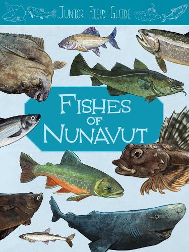 Паперова книга «Junior Field Guide: Fishes of Nunavut: English Edition», автор Джордан Гоффман - фото №1