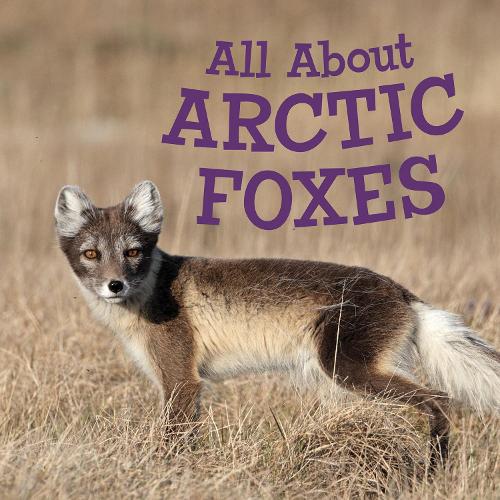 Бумажная книга «All About Arctic Foxes: English Edition», автор Джордан Хоффман - фото №1