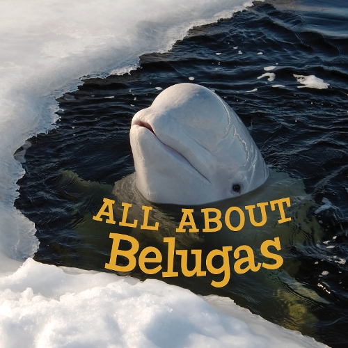 Бумажная книга «All about Belugas: English Edition», автор Джордан Хоффман - фото №1