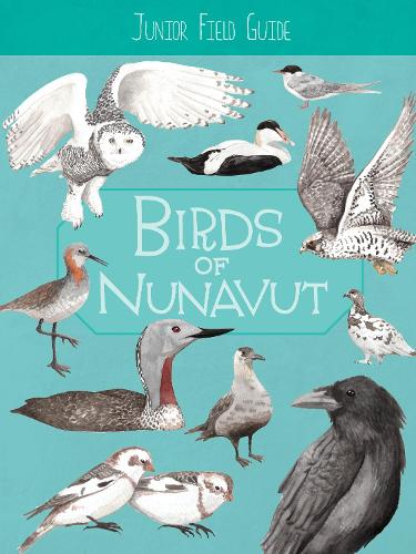 Бумажная книга «Junior Field Guide: Birds of Nunavut: English Edition», автор Кэролин Мэллори - фото №1