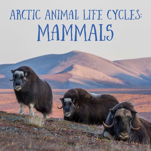 Бумажная книга «Arctic Animal Life Cycles: Mammals: English Edition», автор Джордан Хоффман - фото №1