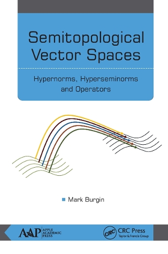 [object Object] «Semitopological Vector Spaces: Hypernorms, Hyperseminorms, and Operators», автор Марк Бергін - фото №1