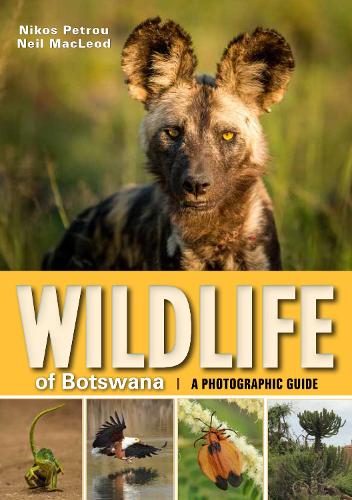 Бумажная книга «Wildlife of Botswana: A Photographic Guide», авторов Нил Маклеод, Никос Петрус - фото №1