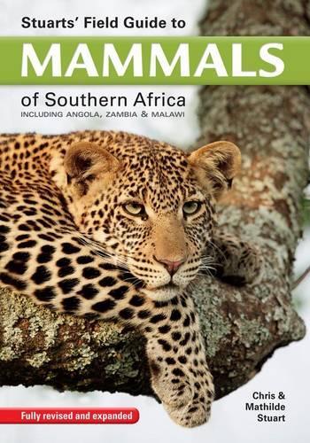 Паперова книга «Stuarts' Field Guide to Mammals of Southern Africa: Including Angola, Zambia & Malawi», авторів Кріс Стуарт, Матильда Стюарт - фото №1