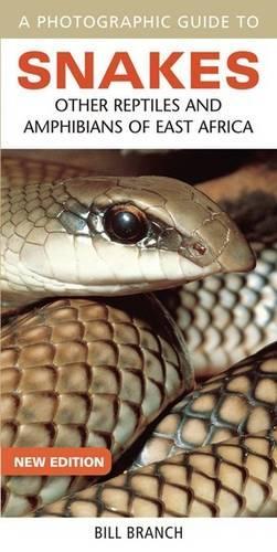 Бумажная книга «Photographic Guide to Snakes, Other Reptiles and Amphibians of East Africa», автор Билл Бранч - фото №1