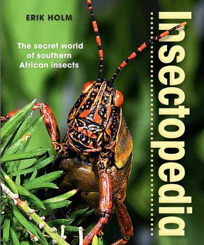 Паперова книга «Insectopedia – The secret world of southern African insects», автор Ерік Хольм - фото №1