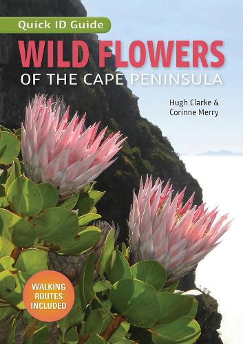 Бумажная книга «Quick ID Guide: Wild Flowers of the Cape Peninsula», авторов Коррин Мерри, Хью Кларк - фото №1