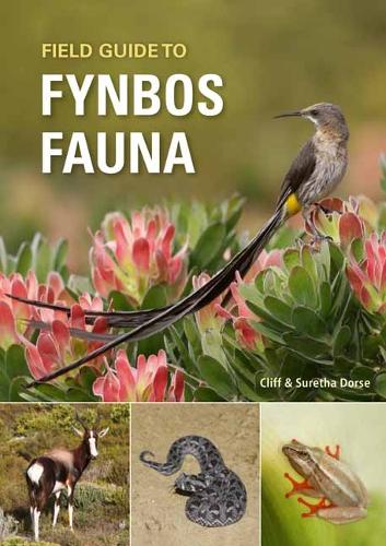 [object Object] «Field Guide to Fynbos Fauna», автор Кліфф Дорс - фото №1