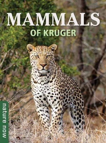 Паперова книга «Mammals of Kruger», автор Джоан Янг - фото №1