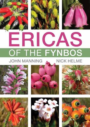 Бумажная книга «Ericas of the Fynbos», авторов Джон Мэннинг, Ник Хелм - фото №1