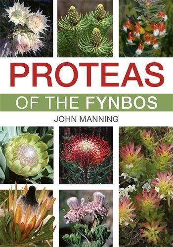 Бумажная книга «Proteas of the Fynbos», автор Джон Мэннинг - фото №1