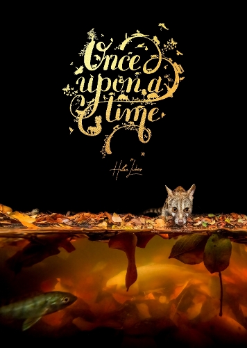Бумажная книга «Once Upon A Time», автор Ханнес Лохнер - фото №1