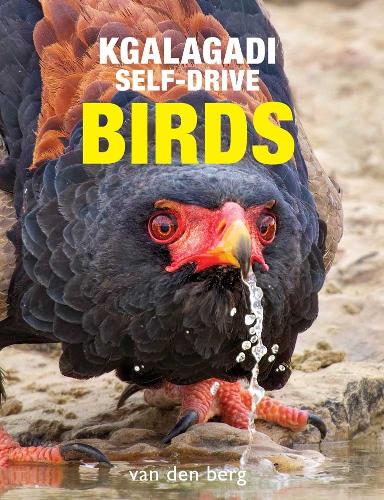 Паперова книга «Kgalagadi Self-Drive Birds», авторів Інгрід Ван ден Берг, Філіп ван ден Берг - фото №1