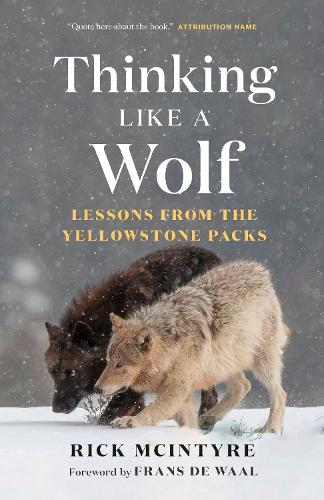 Паперова книга «Thinking Like a Wolf: Lessons From the Yellowstone Packs», автор Рік Макінтайр - фото №1