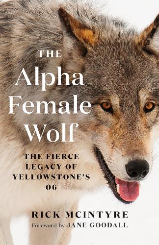 Паперова книга «The Alpha Female Wolf: The Fierce Legacy of Yellowstone's 06», автор Рік Макінтайр - фото №1