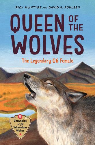 Бумажная книга «Queen of the Wolves: The Legendary 06 Female», автор Рик Макинтайр - фото №1