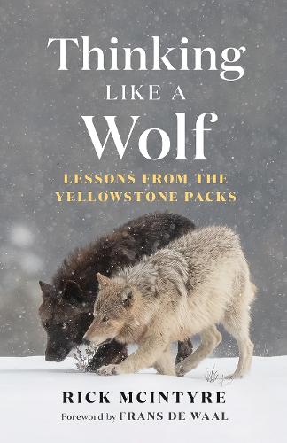 Paper book «Thinking Like a Wolf: Lessons From the Yellowstone Packs», author Rick McIntyre - фото №1