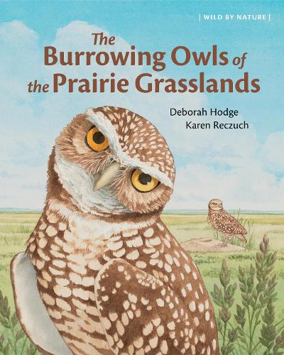 Бумажная книга «The Burrowing Owls of the Prairie Grasslands», автор Дебора Ходж - фото №1