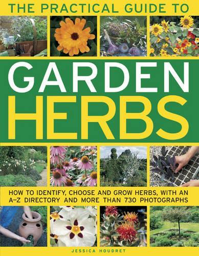 Бумажная книга «Practical Guide to Garden Herbs», автор Джессика Хоудрет - фото №1