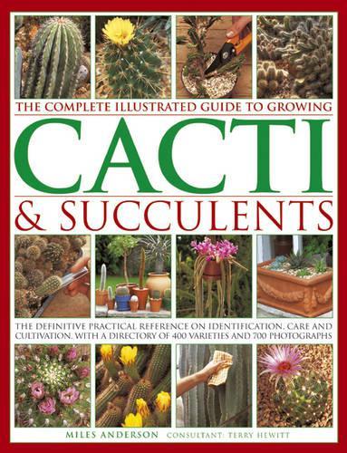 Бумажная книга «Complete Illustrated Guide to Growing Cacti and Succulents», автор Майлз Андерсон - фото №1