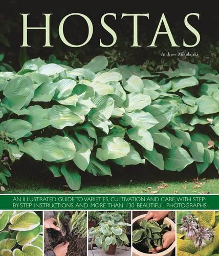 Бумажная книга «Hostas: an Illustrated Guide to Varieties, Cultivation and Care, with Step-by-step Instructions and More Than 130 Beautiful Photographs», автор Эндрю Миколайски - фото №1