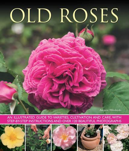 Паперова книга «Old Fashioned Roses», автор Ендрю Міколайскі - фото №1