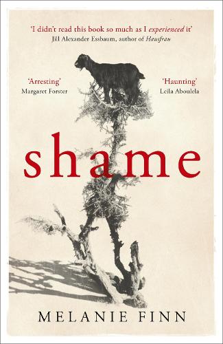 Паперова книга «Shame», автор Мелані Фінн - фото №1