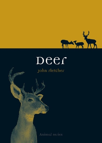 Бумажная книга «Deer», автор Джон Флетчер - фото №1
