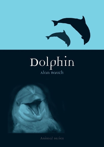 Паперова книга «Dolphin», автор Алан Раух - фото №1