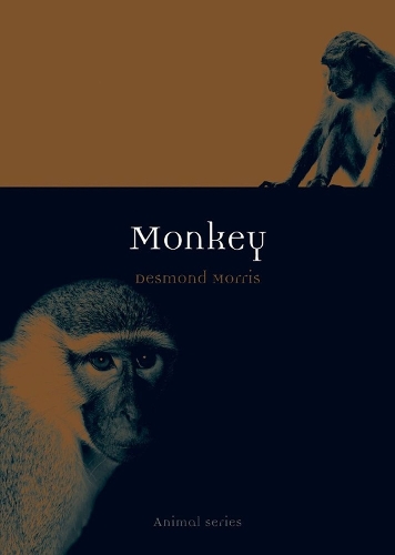 Бумажная книга «Monkey», автор Десмонд Моррис - фото №1