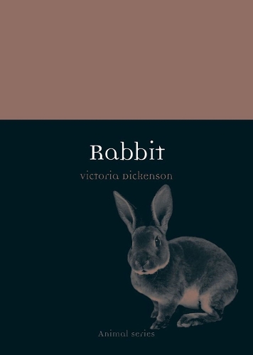 [object Object] «Rabbit», автор Вікторія Дікенсон - фото №1