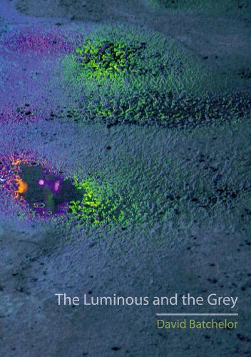 Паперова книга «The Luminous and the Grey», автор Девід Батчелор - фото №1