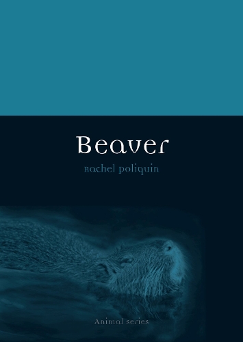 Бумажная книга «Beaver», автор Рэйчел Поликин - фото №1