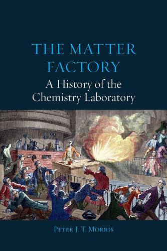 Паперова книга «The Matter Factory – A History of the Chemistry Laboratory», автор Пітер Морріс - фото №1